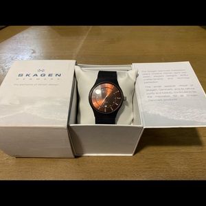 Skagen Denmark Watch -$75